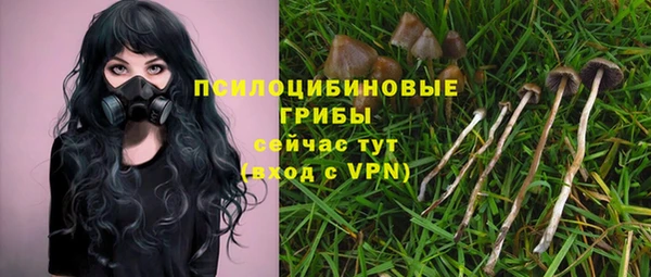 гашишное масло Осинники