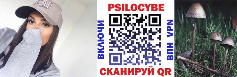 mega рабочий сайт  Моршанск  Галлюциногенные грибы Psilocybine cubensis 